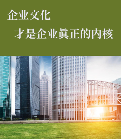 中民康旅文化科技文化传播项目策划与执行流程详解